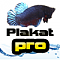 plakatpro